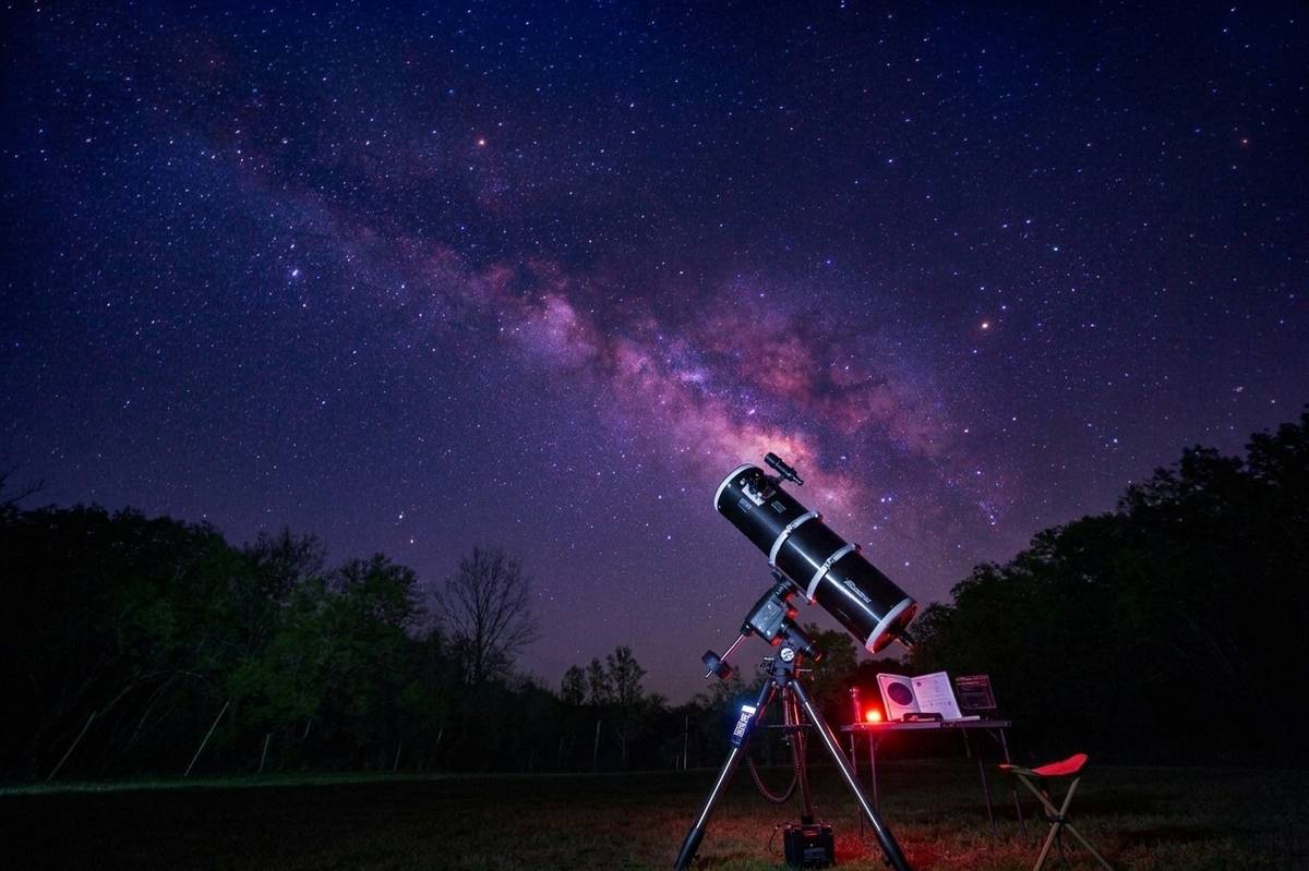 Stargazing Nights